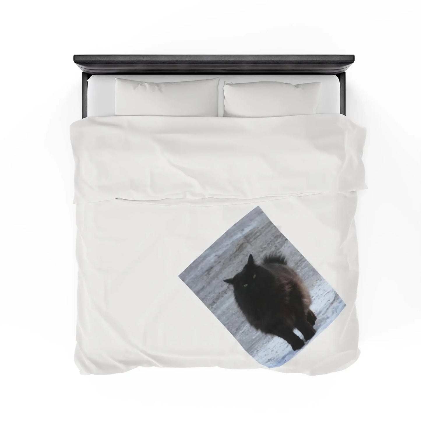 White bed with black headboard and bedding featuring printed image of black cat on snowy ground