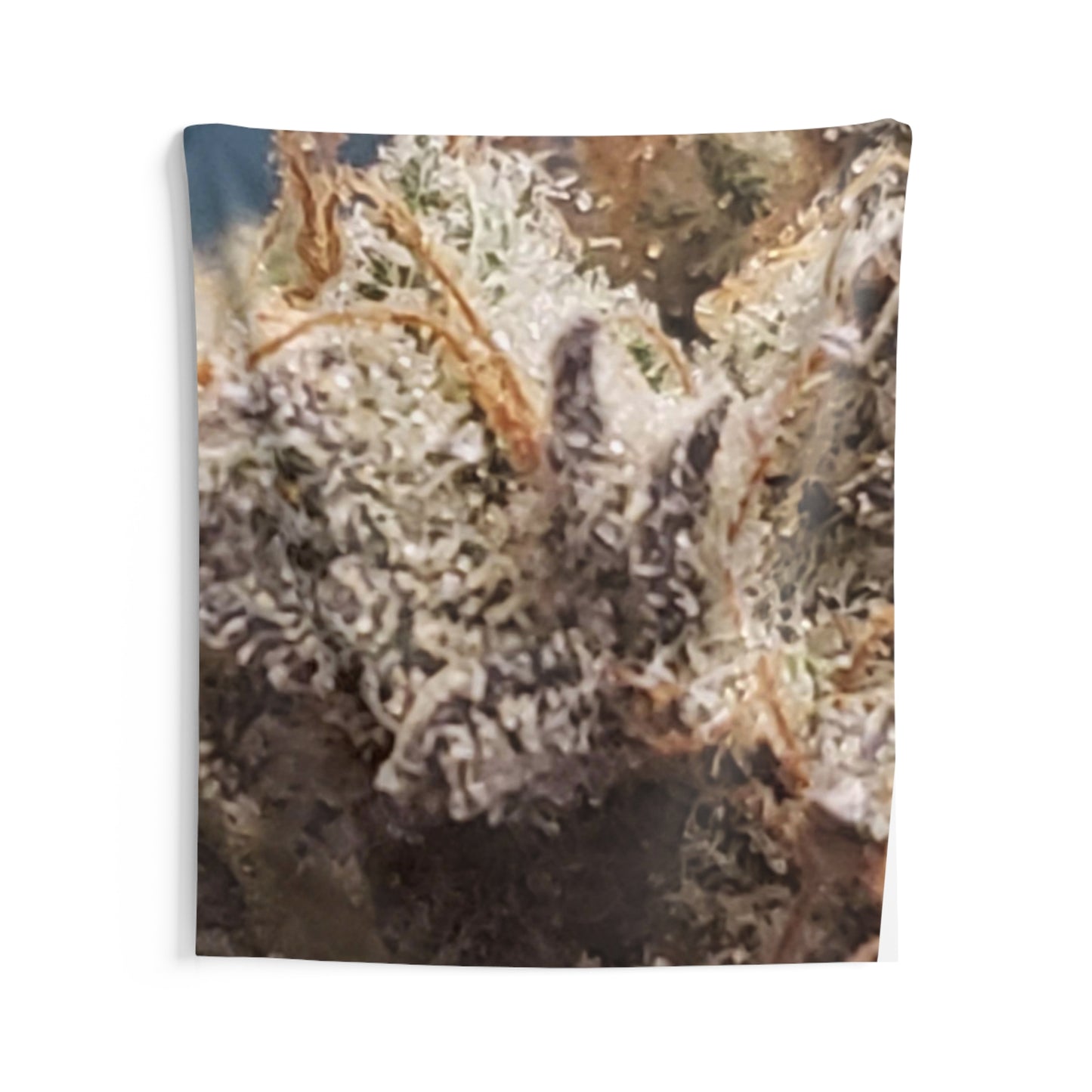 Indoor Wall Bud Tapestries