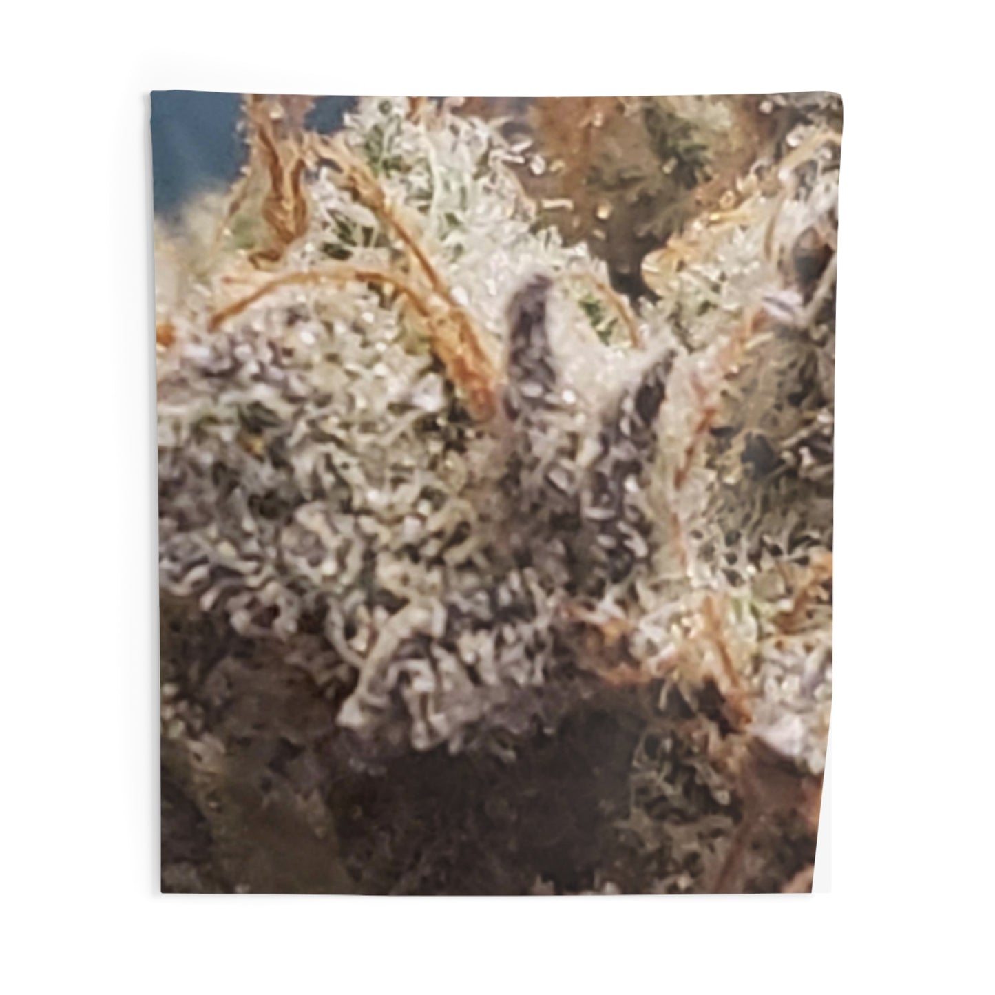 Indoor Wall Bud Tapestries