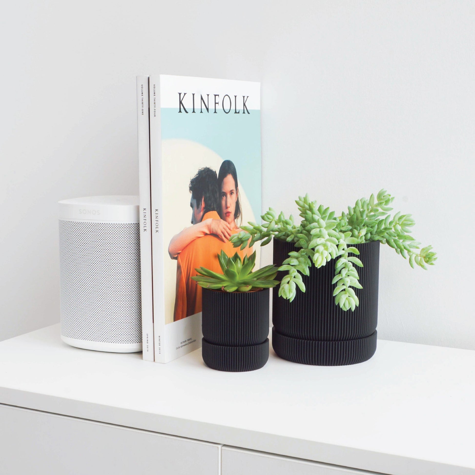 Hemlock Planter Conifer