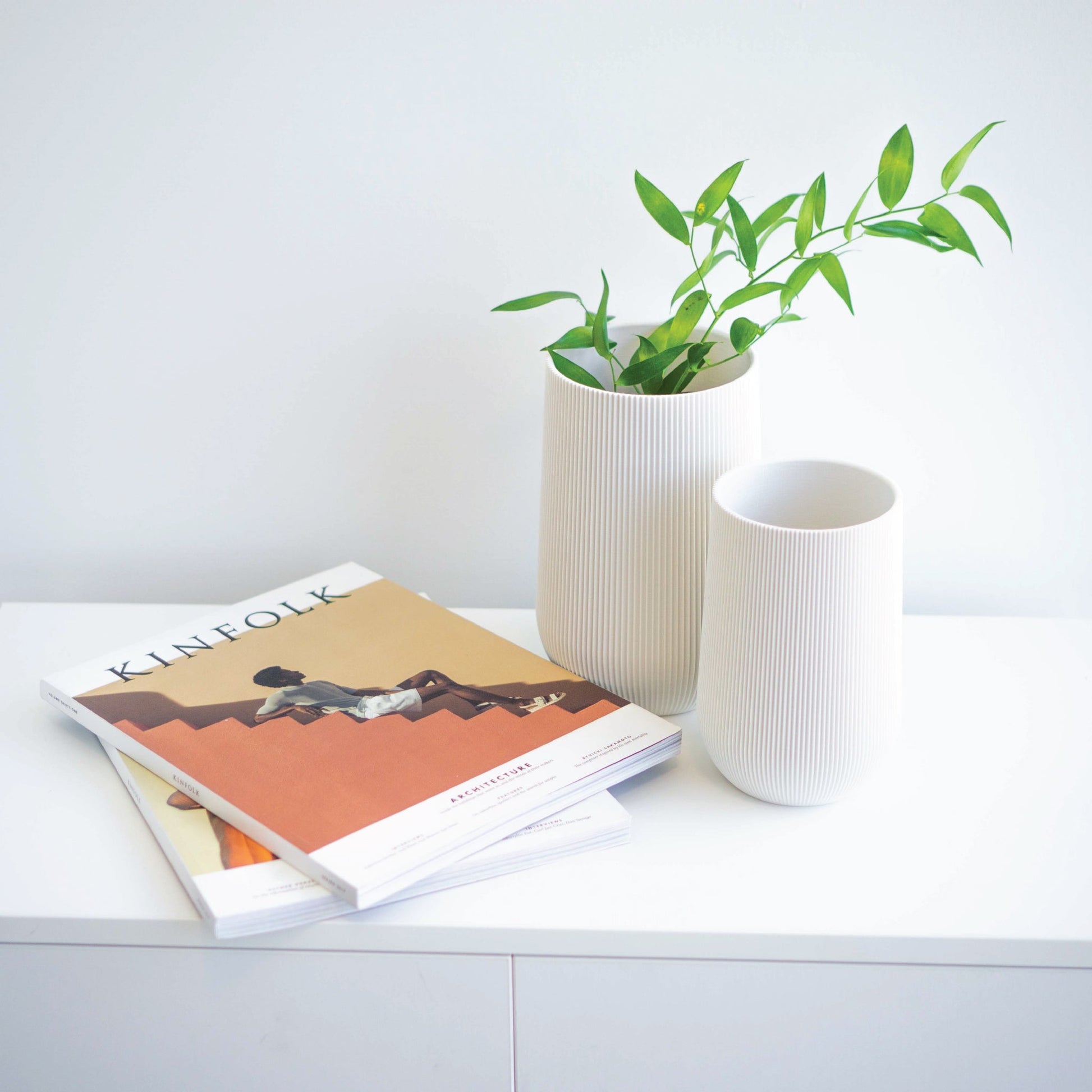 Sequoia Vase Conifer