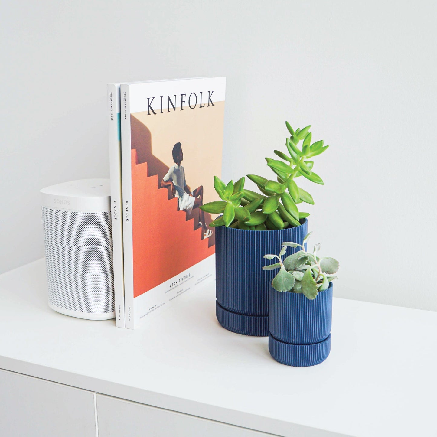 Hemlock Planter Conifer