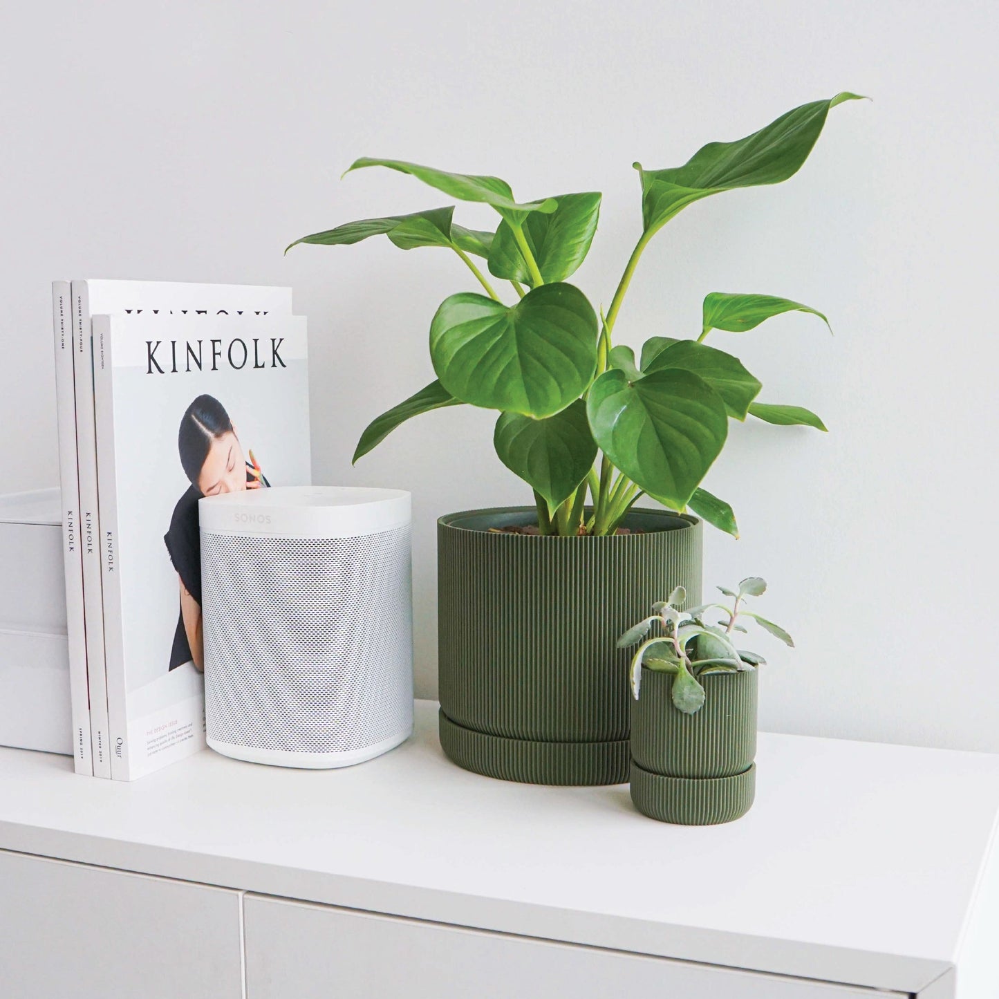 Hemlock Planter Conifer