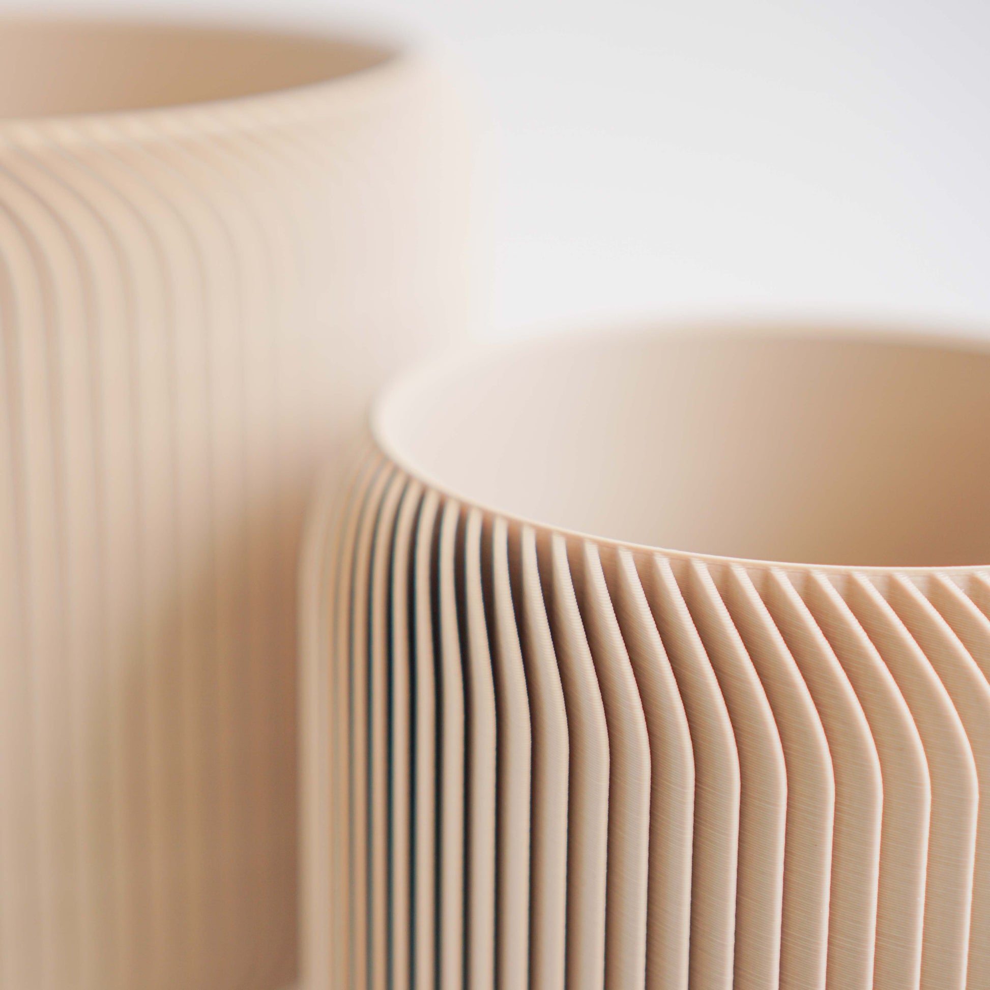 Pine Planter Conifer