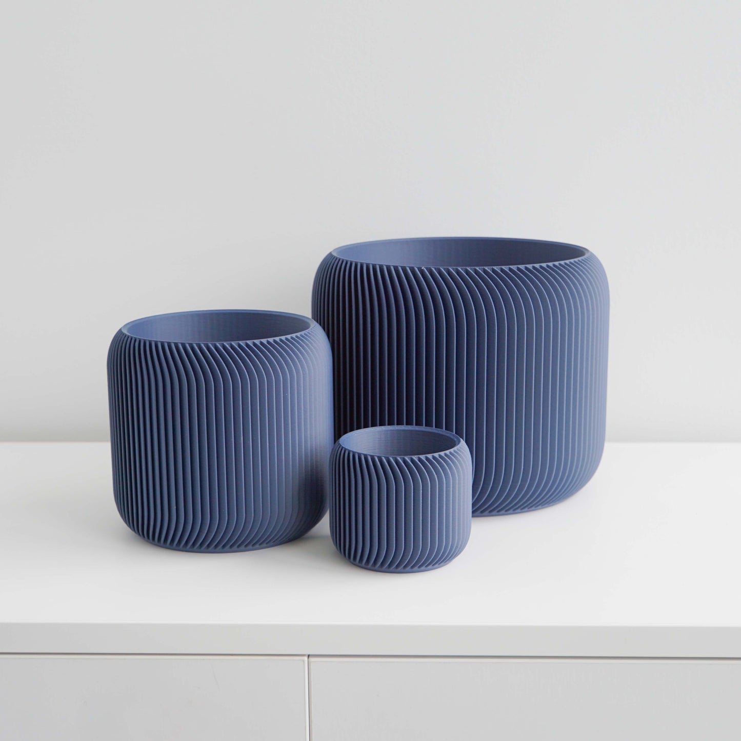 Pine Planter Conifer