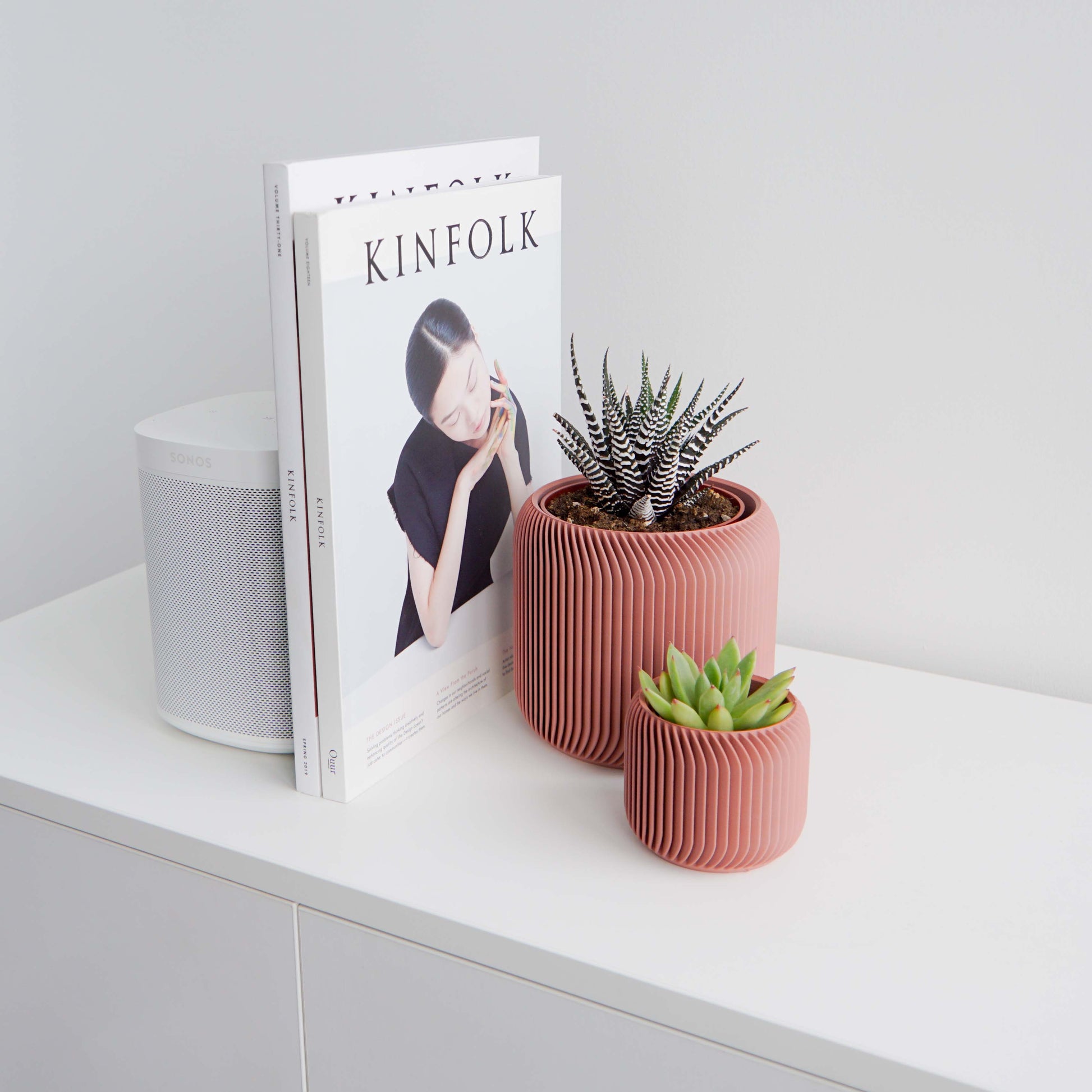 Pine Planter Conifer