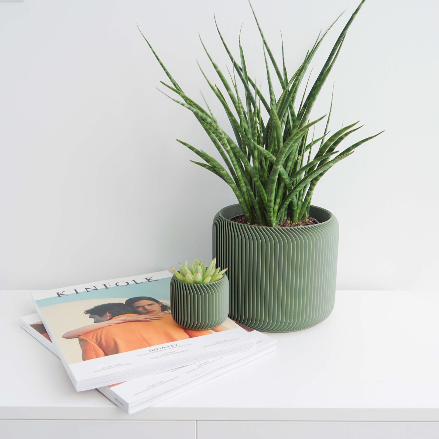 Pine Planter Conifer