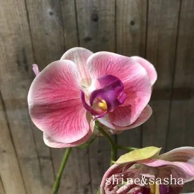 3D printed artificial orchid, flower arrangement, hand feel, butterfly, without vase