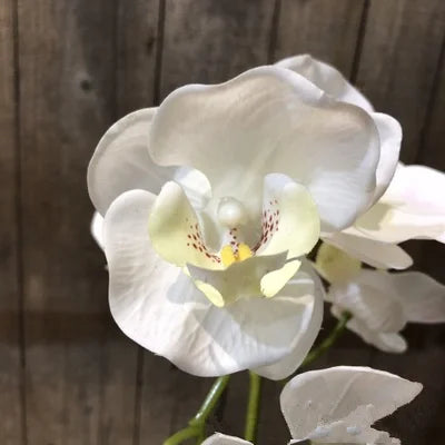 3D printed artificial orchid, flower arrangement, hand feel, butterfly, without vase