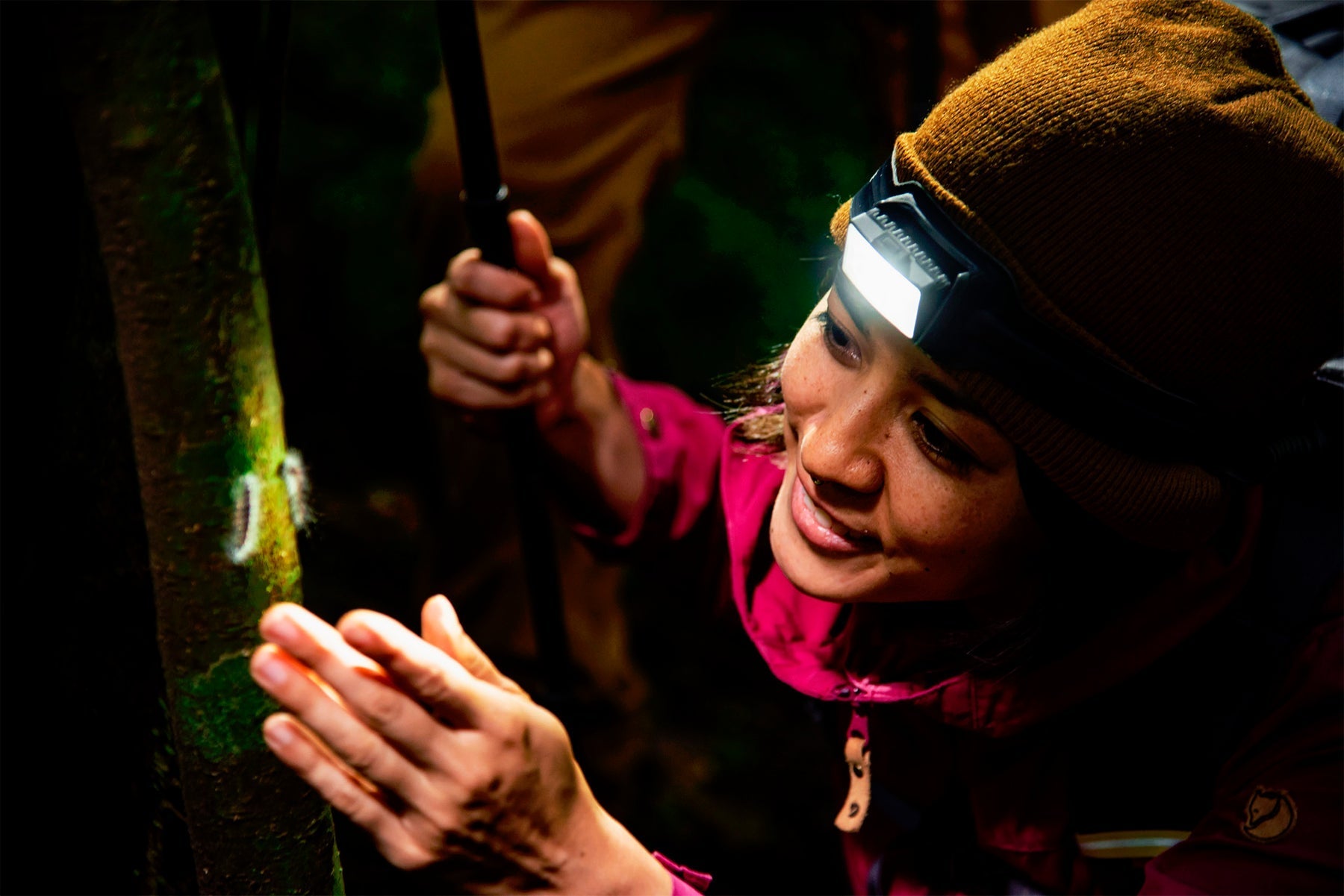 Biolite HeadLamp 800 Pro Dc Tackle & Outdoor Supply