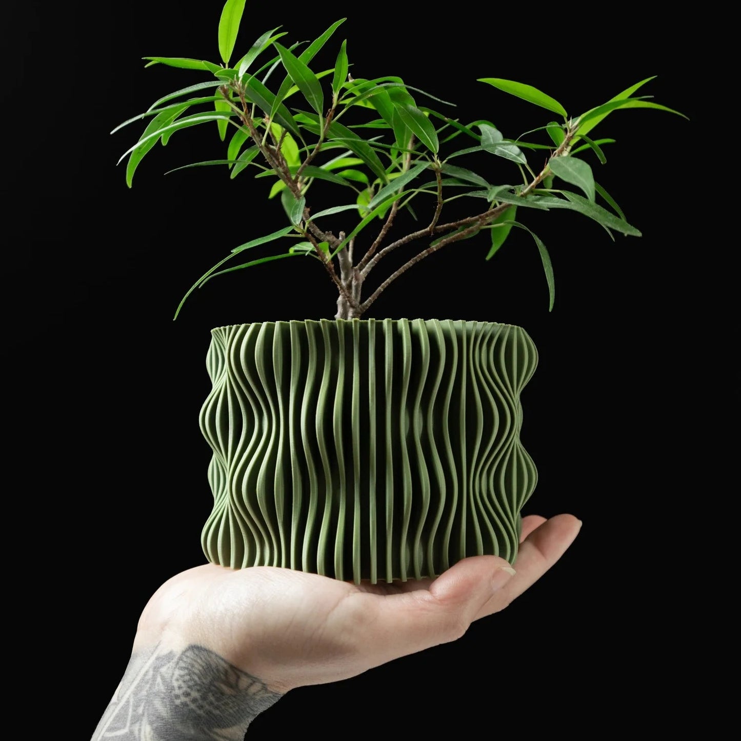 Modern Minimalist 3D Printed Plant Pot – Biodegradable Flower Planter for Home Decor, Eco-Friendly Sustainable Gift (Muxel) Elk-Valley 3D