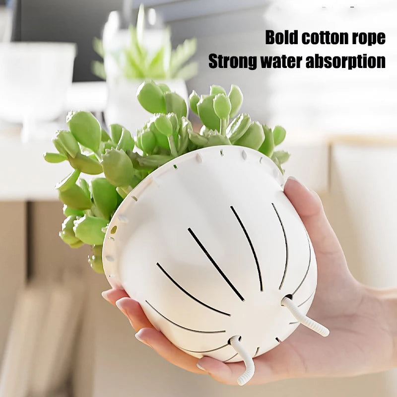 Self Watering Flowerpot Automatic Water Absorbing Flowerpot Transparent Double Layer Plastic Succulent Plant Pot Decorative Pot Elk-Valley 3D