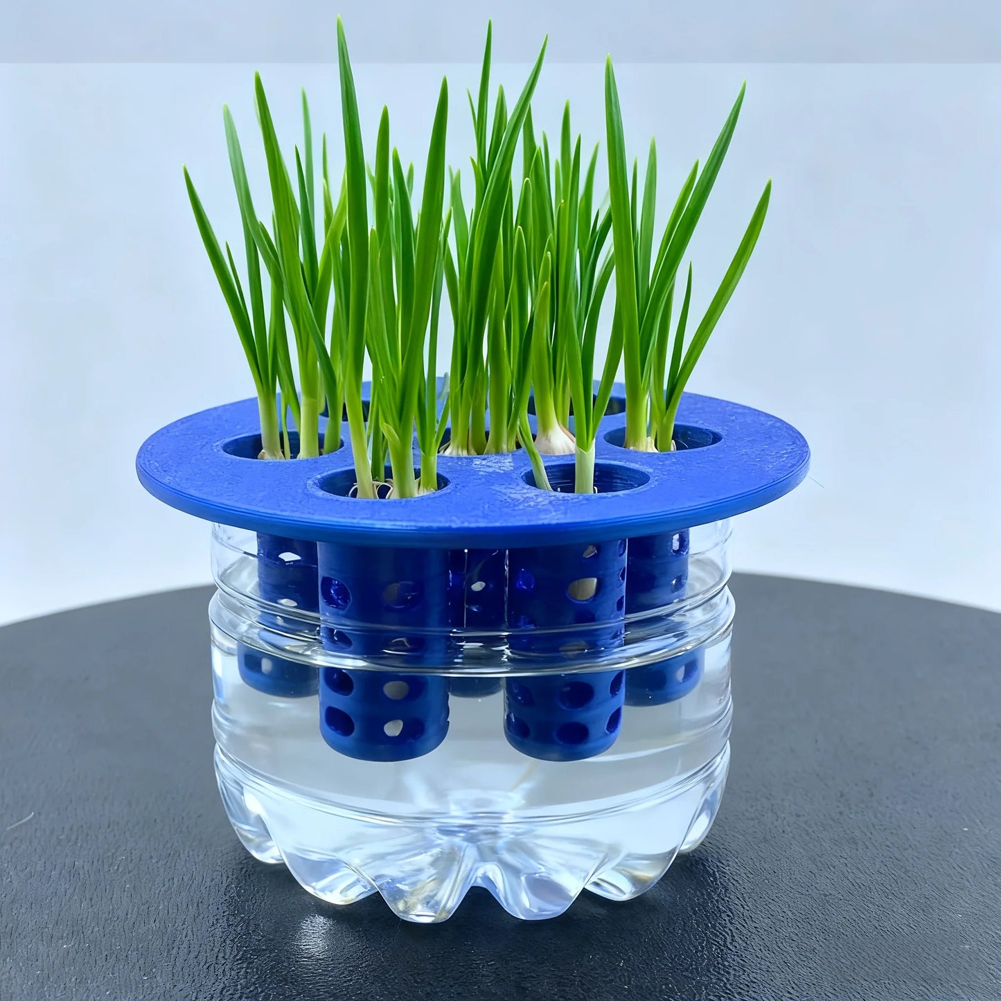 2PC Garden Nursery Pot 7-Hole Garlic Scallion Hydroponic Planters 3D Printed Hydroponic Mold for Flower Vegetable Home Gardening Elk-Valley 3D