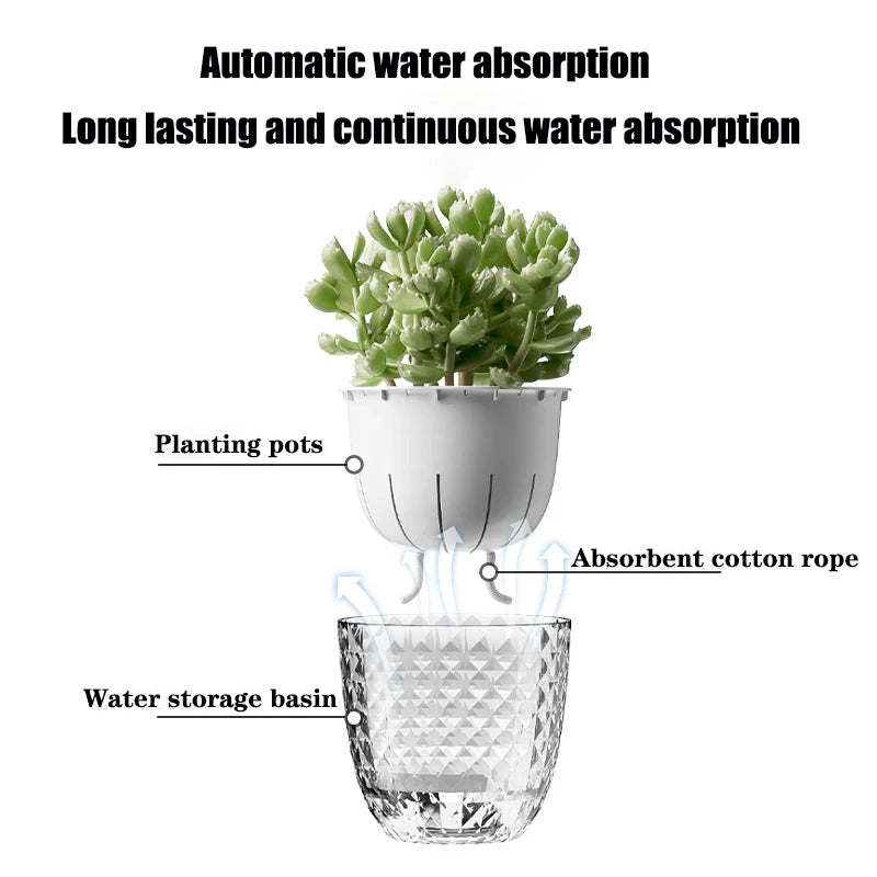 Self Watering Flowerpot Automatic Water Absorbing Flowerpot Transparent Double Layer Plastic Succulent Plant Pot Decorative Pot Elk-Valley 3D