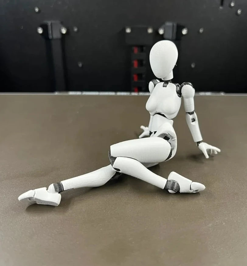 3d Printed Fifth Generation Dummy13 Articulated Doll Bjd Ball-Jointed Body Art Drawing Gymnastics Model