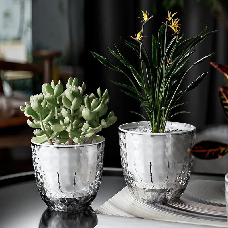 Self Watering Flowerpot Automatic Water Absorbing Flowerpot Transparent Double Layer Plastic Succulent Plant Pot Decorative Pot Elk-Valley 3D