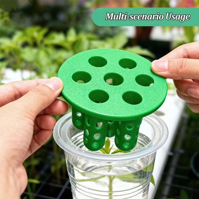 Hydroponic Vegetables Seed Planters Plant Garlic & Green Onion/Outdoor Nursery Pot  Gardening Flowers Plant Tray Growing Tool Elk-Valley 3D
