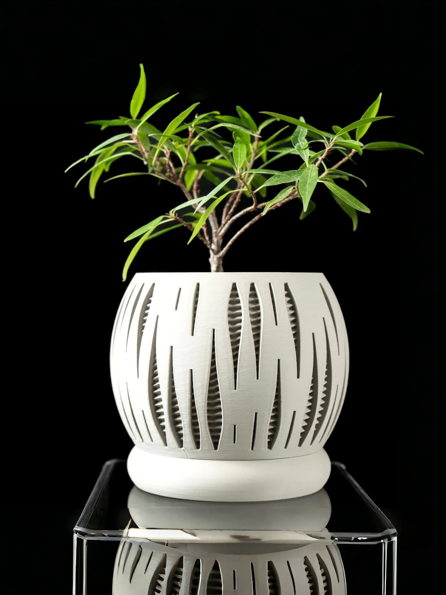 3D Printed Plant Pot Biodegradable Flower Planter for Home  Pots for Plants DecorRound flowerpot Eco-Friendly Sustainable Gift Elk-Valley 3D