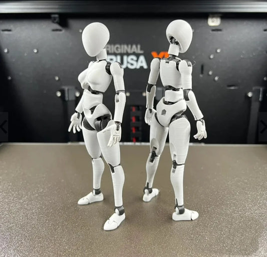 3d Printed Fifth Generation Dummy13 Articulated Doll Bjd Ball-Jointed Body Art Drawing Gymnastics Model