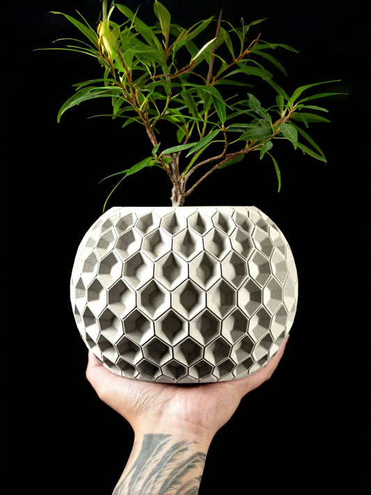 Modern minimalist 3D printed flower pots - biodegradable planters for home decoration, eco-friendly sustainable gifts (Hexa) Elk-Valley 3D