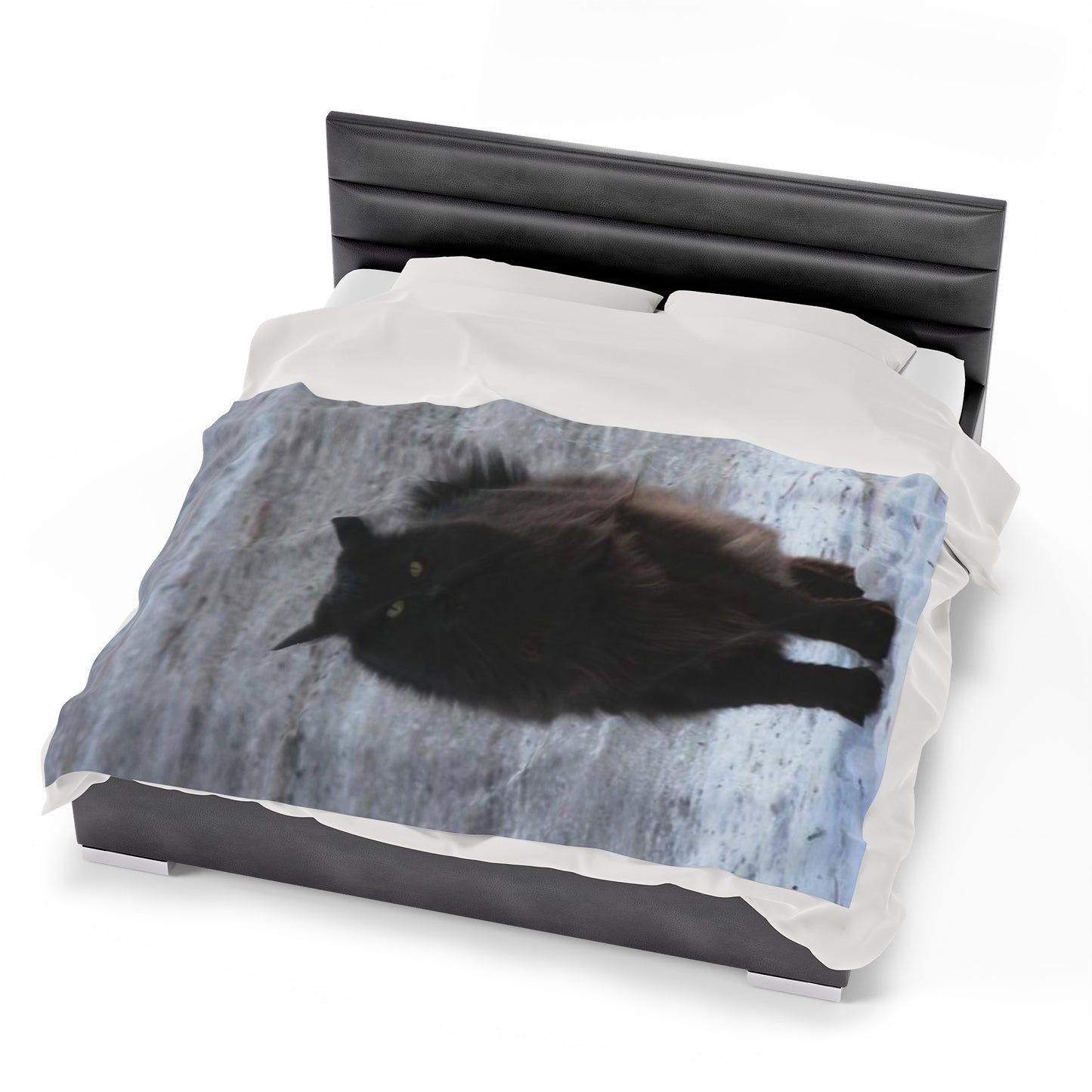 Shadow Kat Velveteen Plush Blanket