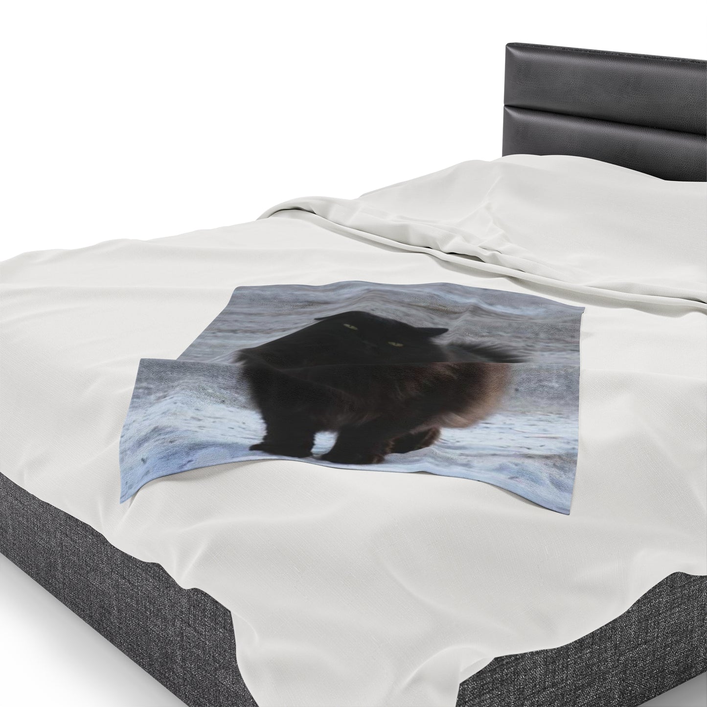 Shadow Kat Velveteen Plush Blanket