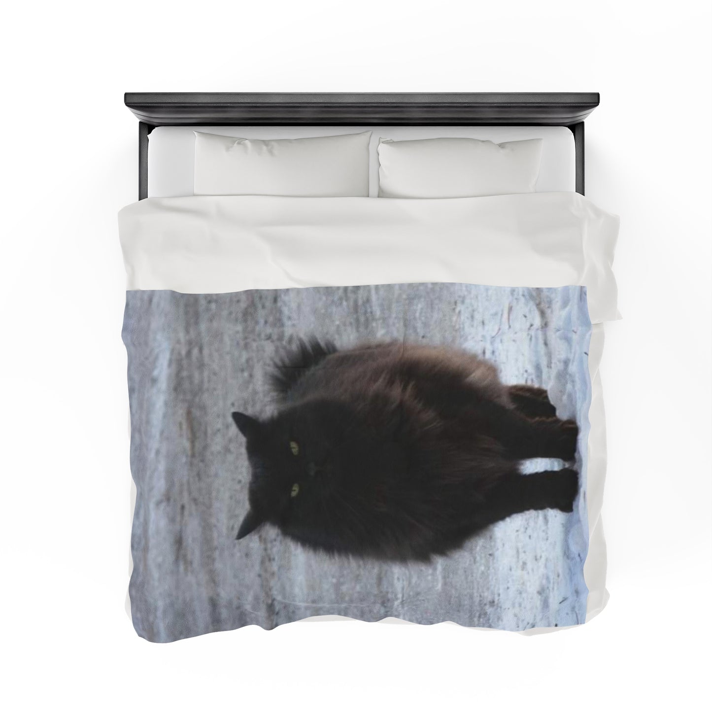 Shadow Kat Velveteen Plush Blanket