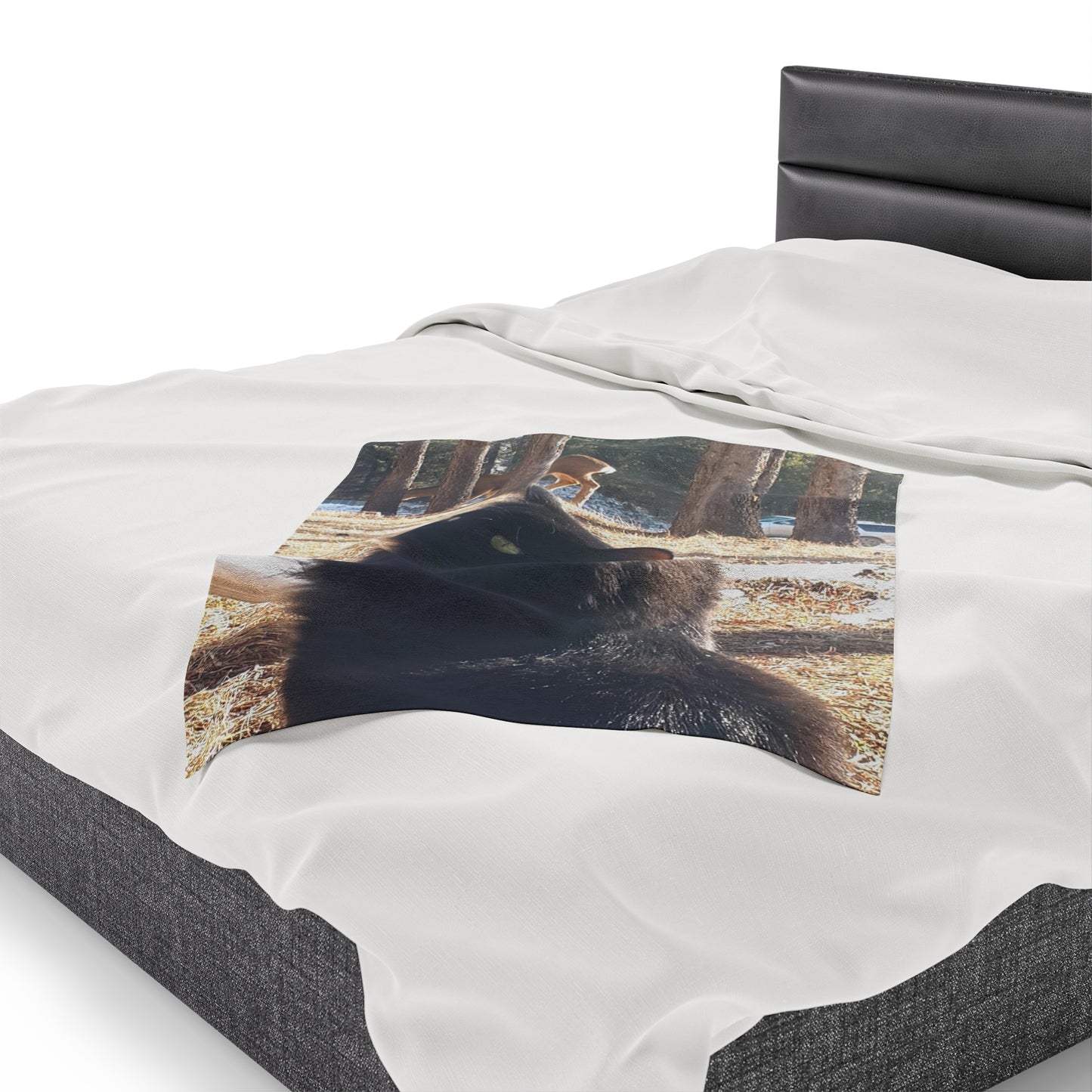 Shadows shot Velveteen Plush Blanket