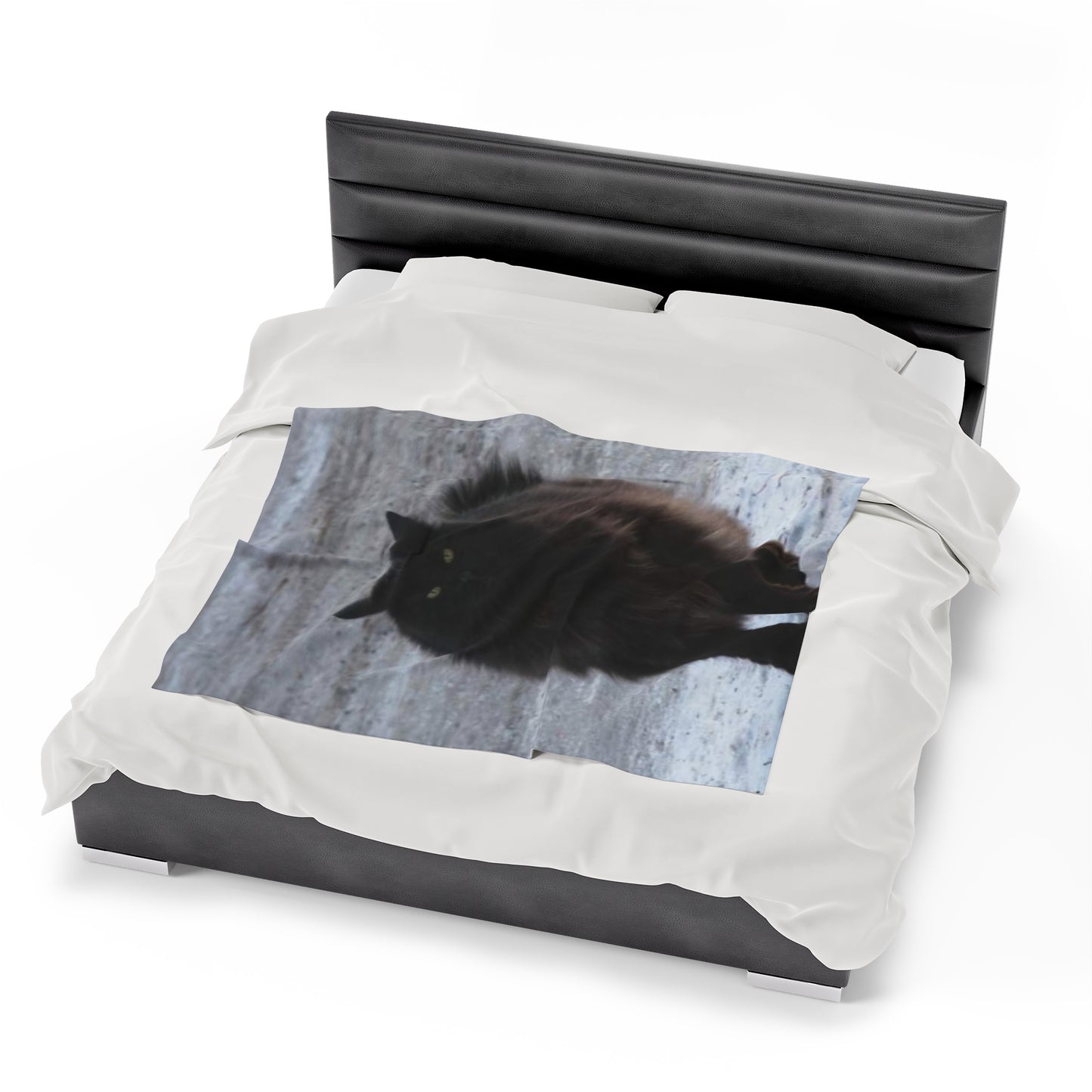 Shadow Kat Velveteen Plush Blanket