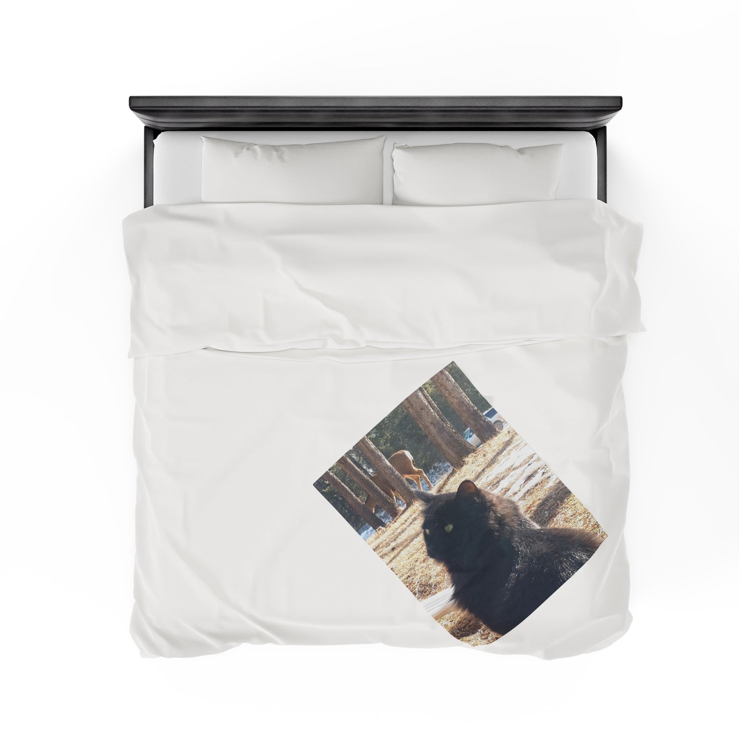 Shadows shot Velveteen Plush Blanket