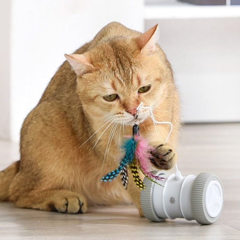 RoboRoller - Smart Runaway Cat Toy